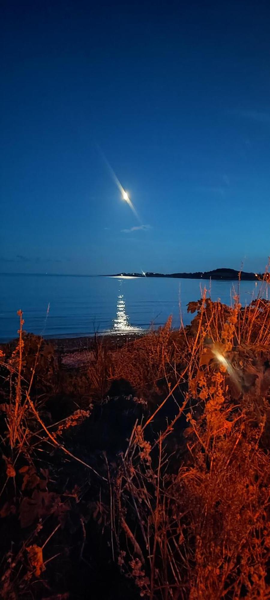 דירות Kircubbin Horse Island View Luxury Retreat מראה חיצוני תמונה